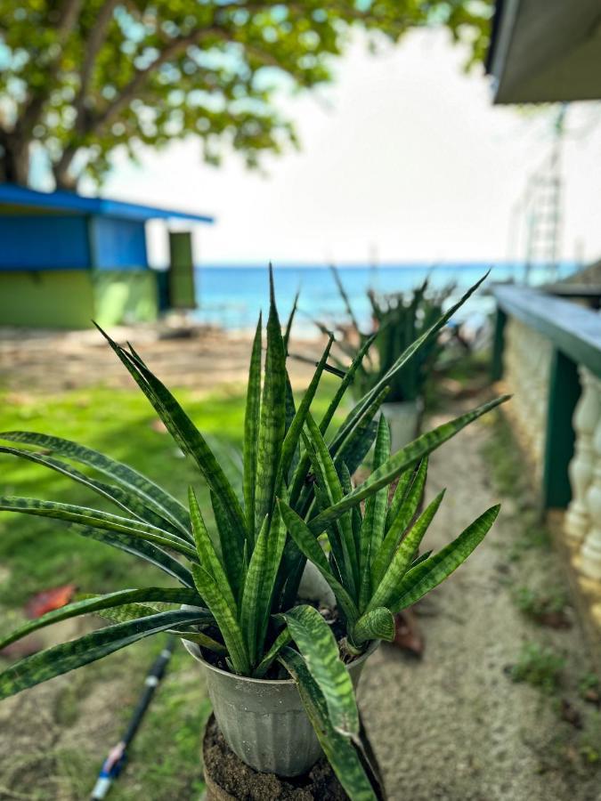 1Peace Beach Resort アンダ エクステリア 写真